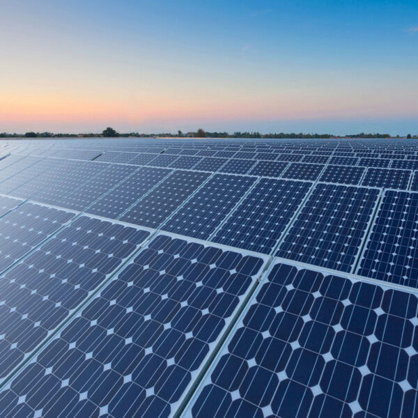project-11