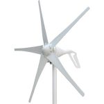 Windmill Coli
