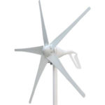 Windmill Coli
