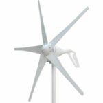 Windmill Coli